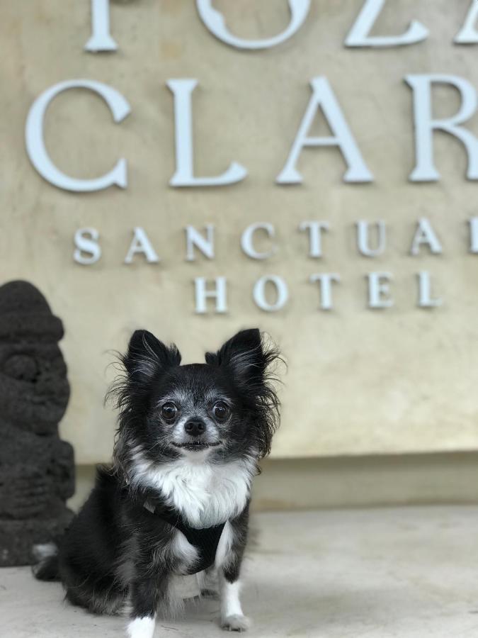 Poza Clara Sanctuary Otel Bacalar Dış mekan fotoğraf