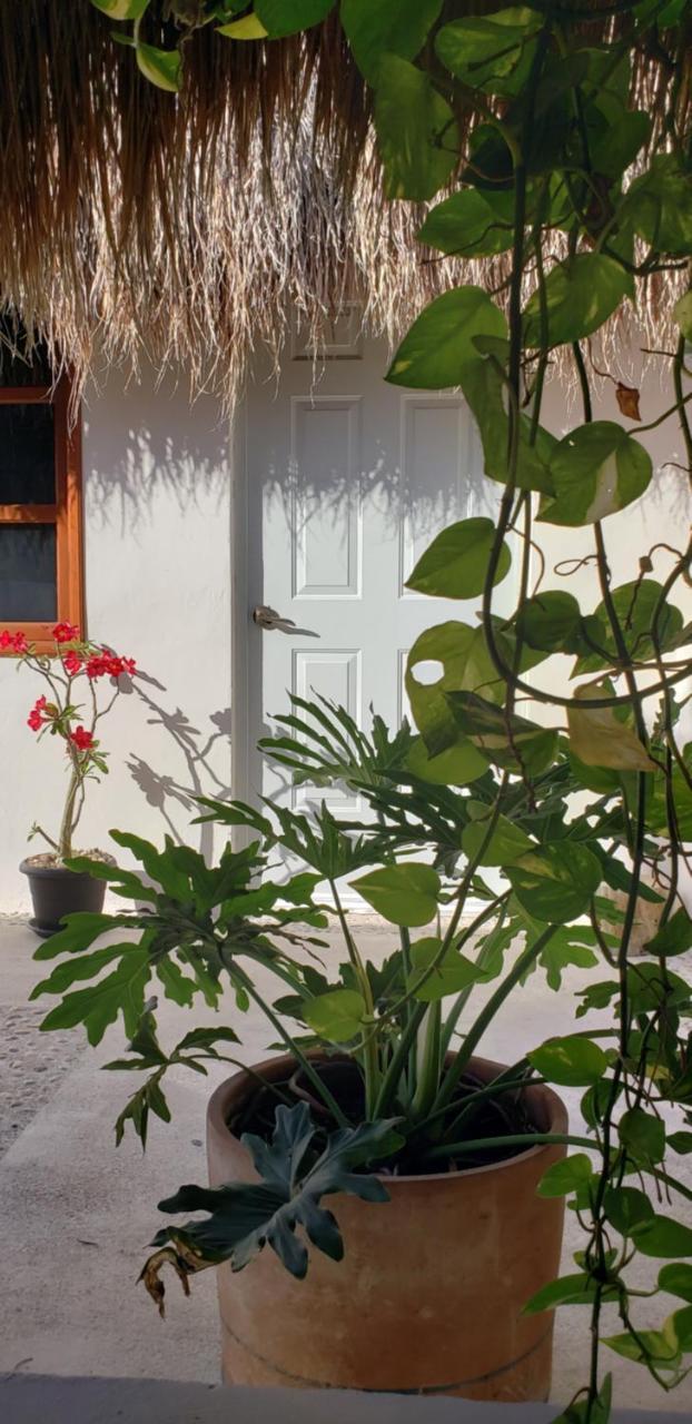 Poza Clara Sanctuary Otel Bacalar Dış mekan fotoğraf